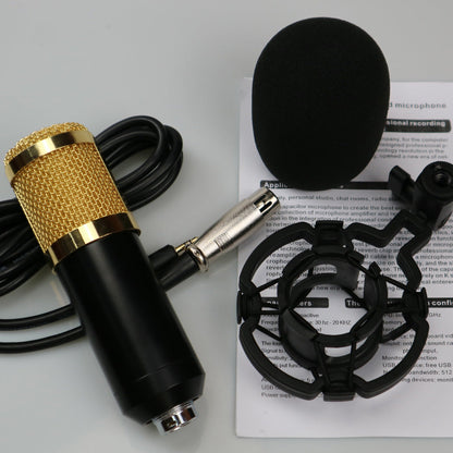 BM800 Condenser Microphone with Shock Mount & Windscreen