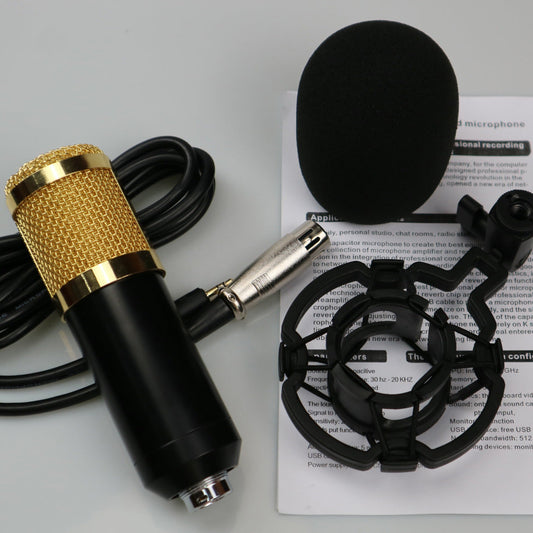 BM800 Condenser Microphone with Shock Mount & Windscreen