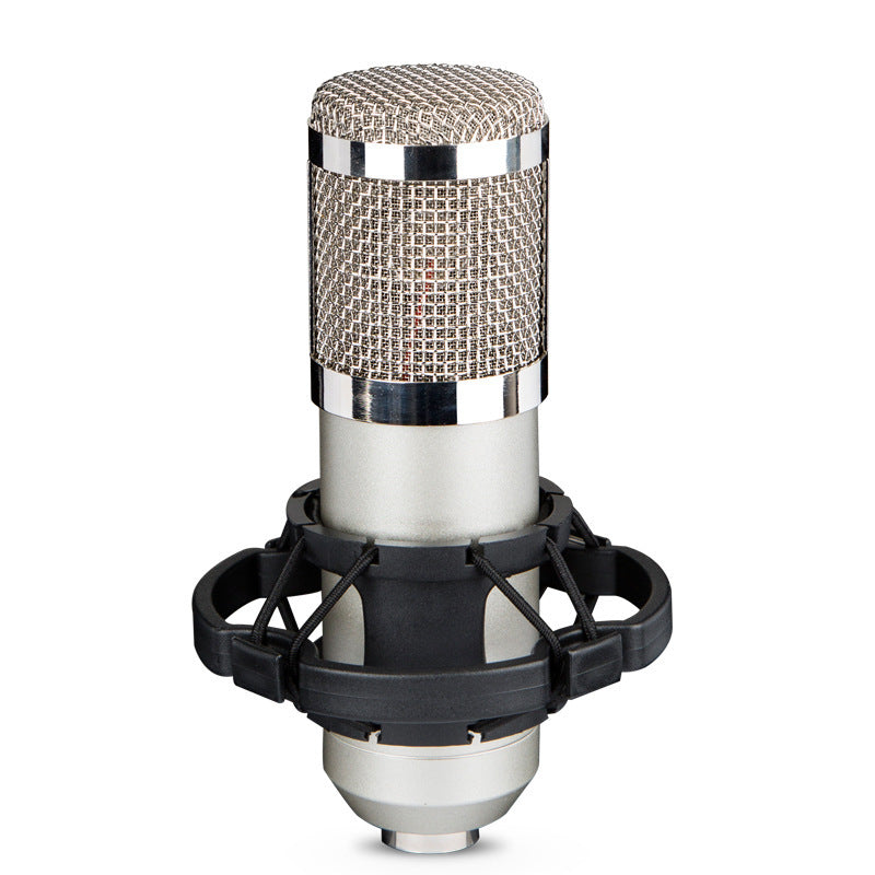 BM800 Condenser Microphone with Shock Mount & Windscreen