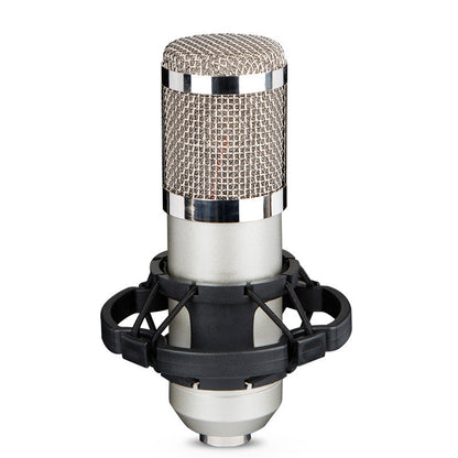 BM800 Condenser Microphone with Shock Mount & Windscreen